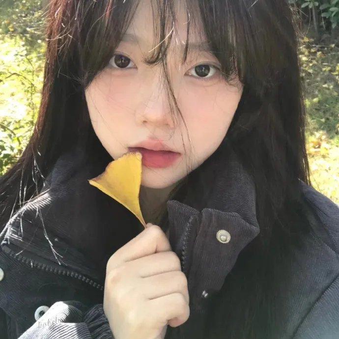 理智与情感