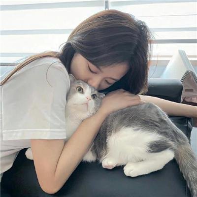 心灵翻译官